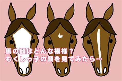 馬星|馬の特徴：顔のマーキング